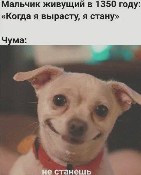 Народная меДИЧина 7000