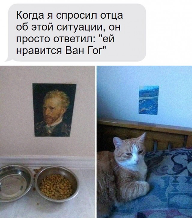 Картинки и мемы, всем хороших выходных