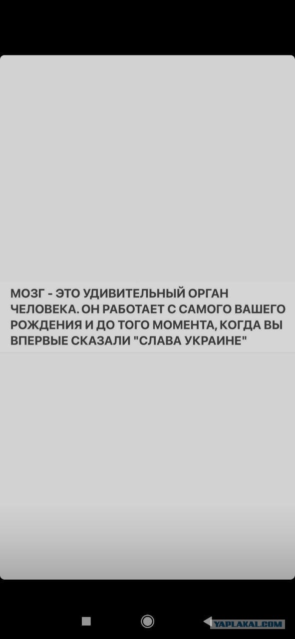 Победная поступь идиотизма по планете – том 10