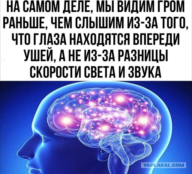 Отмена деградации V. Околонаучные картинки