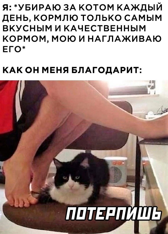 40 мемасиков с е*аньцой, в честь праздничка так сказать