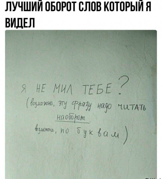 Так себе картинки 15.12.23