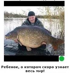 Автодемотиватор на ЯПе