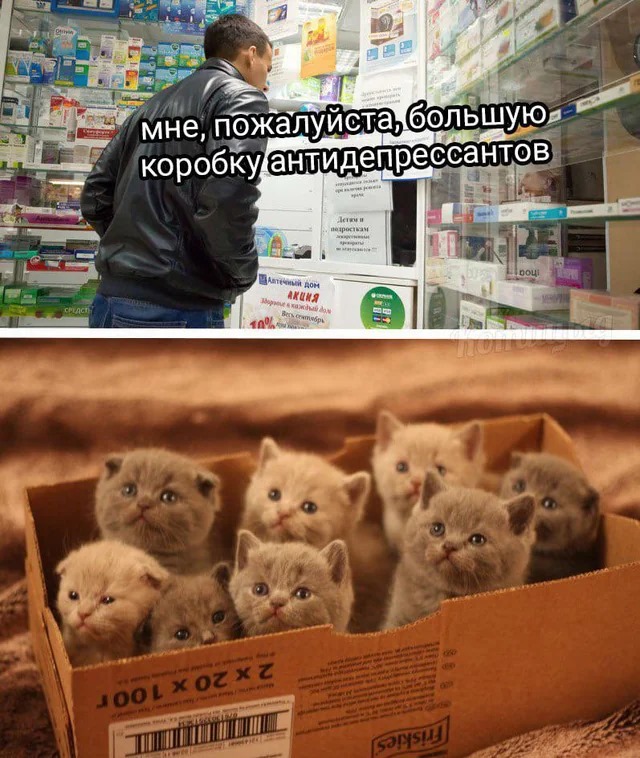 Народная меДИЧина 1033