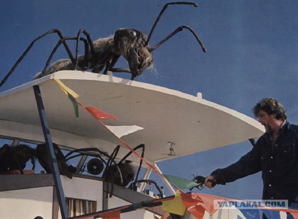 Самые опасные муравьи в мире