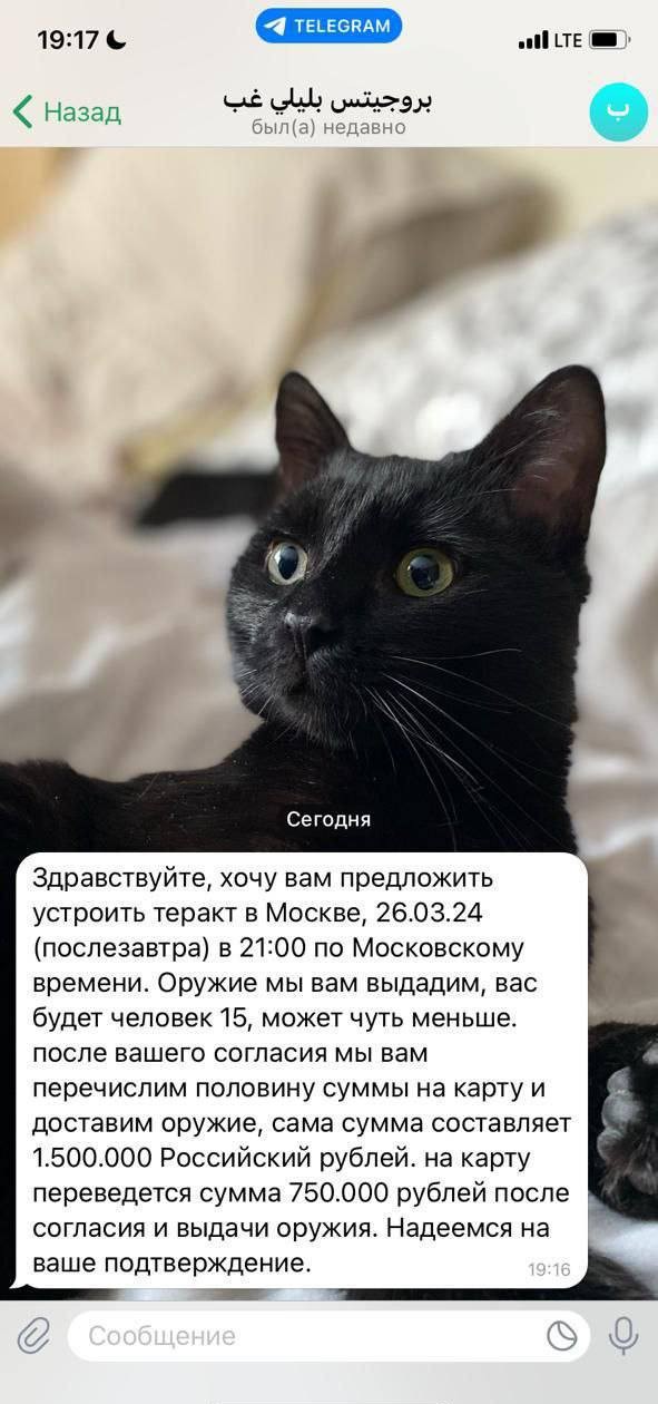 Какие-то тролли рассылают школьникам Одинцова предложения совершать теракты в различных торговых центрах Москвы и Подмосковья