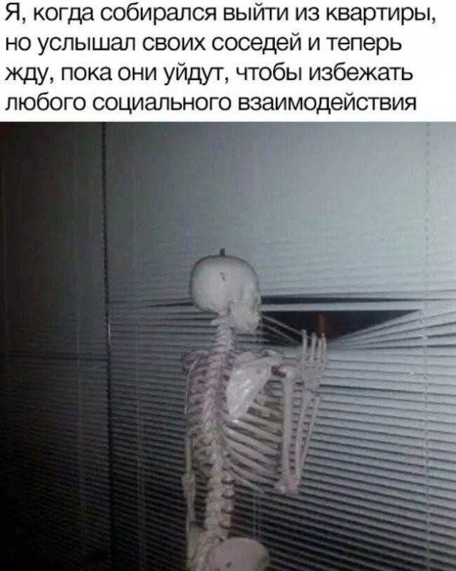 Веселые картинки