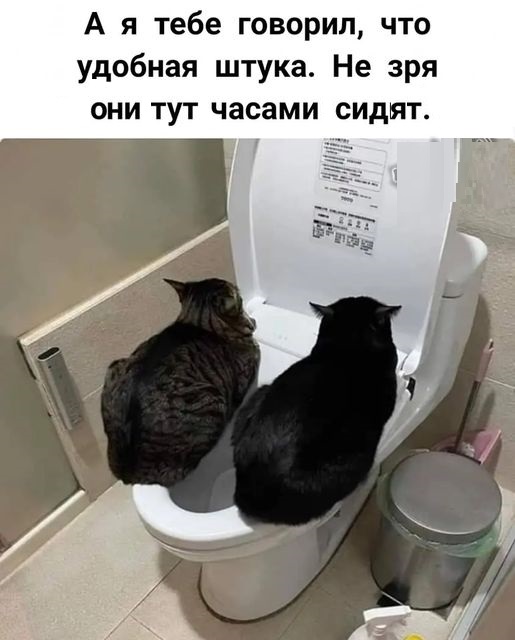 Картинки разные с надписями и без