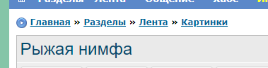 Рыжая нимфа