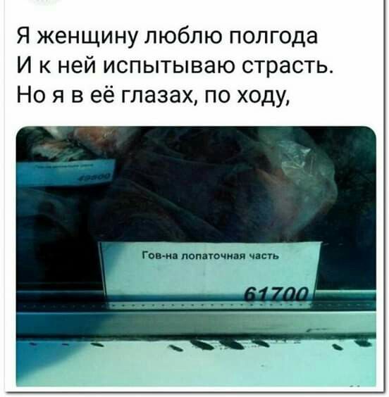 Веселые картинки к пятнице (29.11)