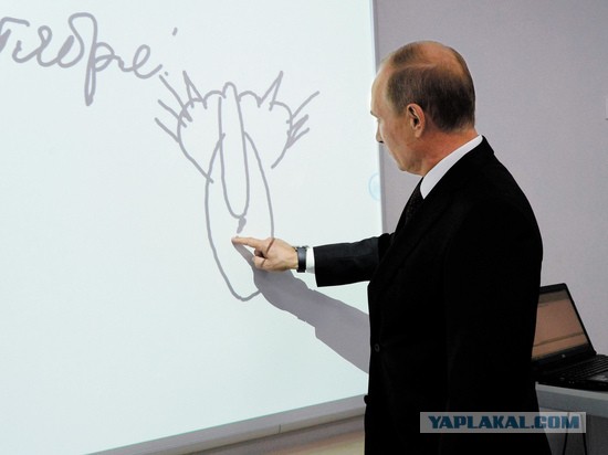 «Экономлю на всём: одежде, медицине, поездках по городу»: как живет тюменка, работающая фасовщиком в аптеке