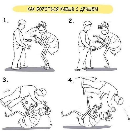 Еще один способ удаления клеща