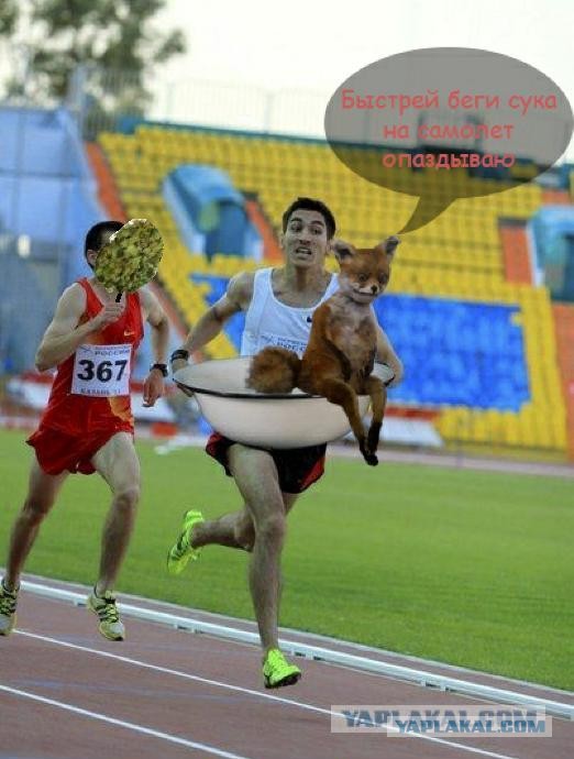 Моя первая фотжаба.