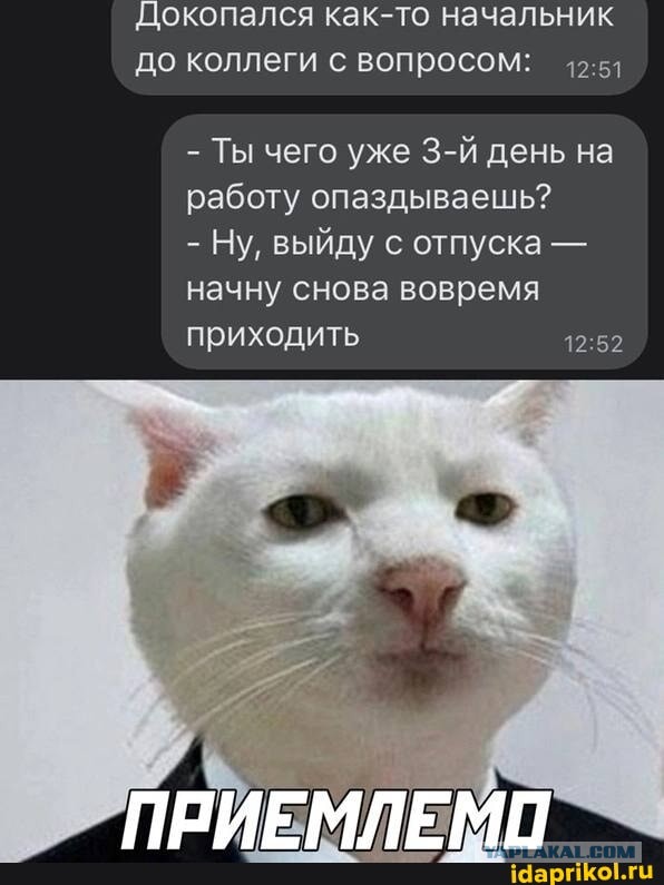 Картинки для деградации 68 (разной степени свежести)