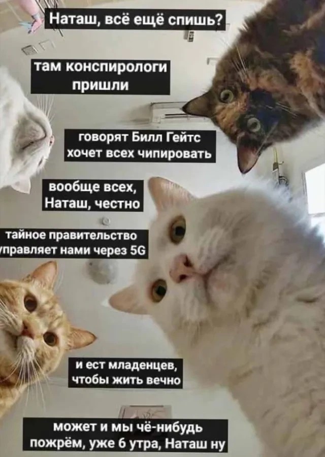 "Работа и жильё - от 70 баллов": к 2035 году россияне получат соцрейтинг