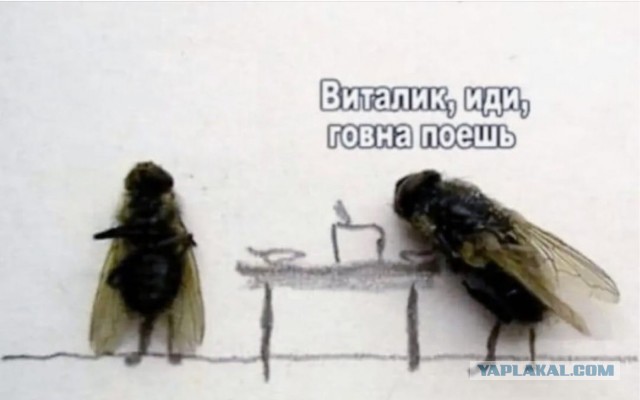 Интервью с порноактрисой Вероникой Мозер