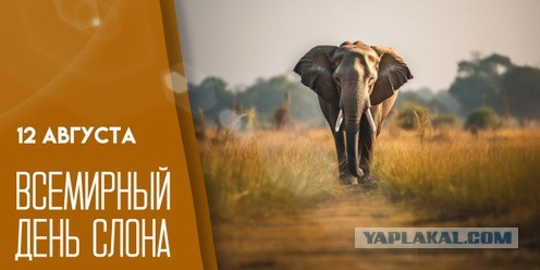 ДНК-тест