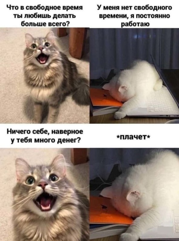 К котовторнику: подборка картинок-баянов с котиками и про котиков. Выпуск 43.
