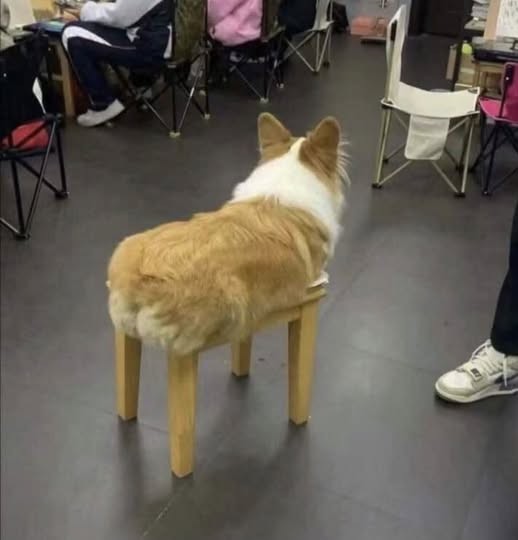 Картинки на среду
