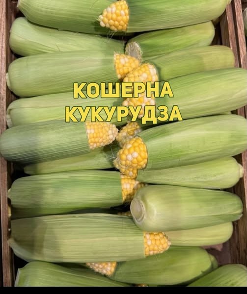 Картинки для деградации 289 (разной степени свежести)