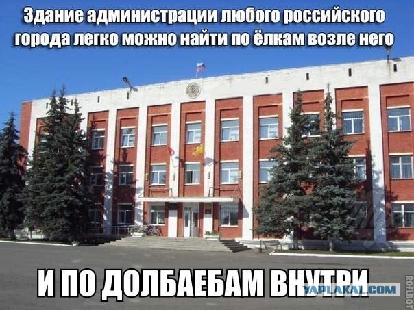 Единоросса Исаева сняли с рейса за дебош