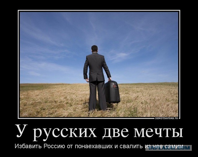 Выборы в Волгограде, листовка кандидата...