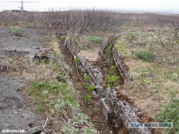 Курильский остров Матуа