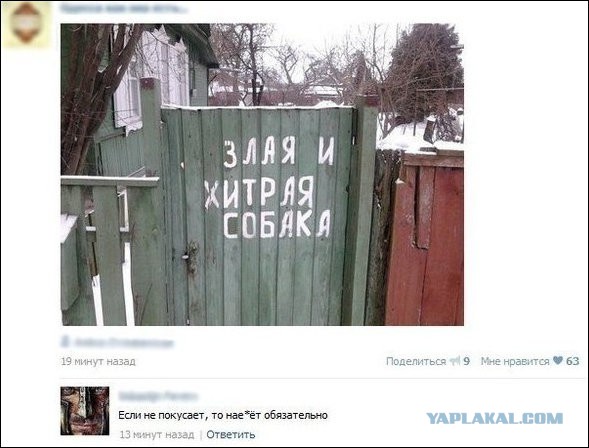 Смешные комментарии из социальных сетей