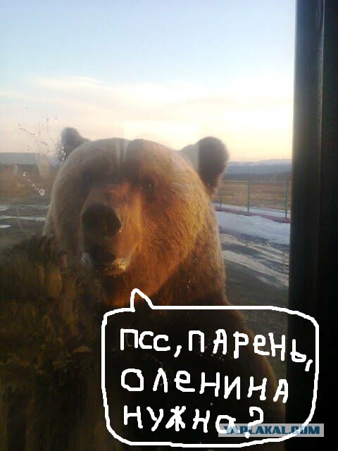 Откройте, я пришёл!
