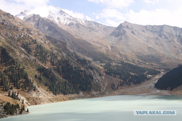 Эти странные алматинцы