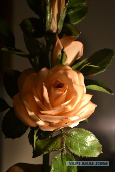 Хобби, плавно переходящее в работу