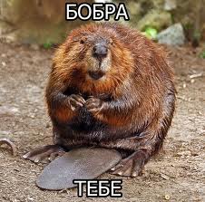 Когда вы плюсуeтe тему в платине