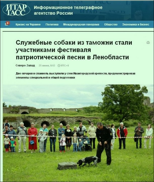 Смешные картинки и комментарии