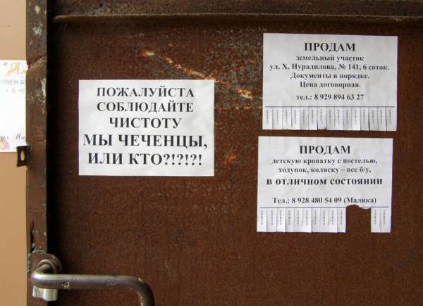 Объявления, анонсы из сети.