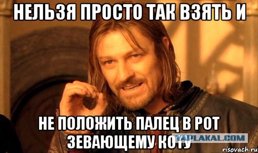 Картинки из сети для настроения