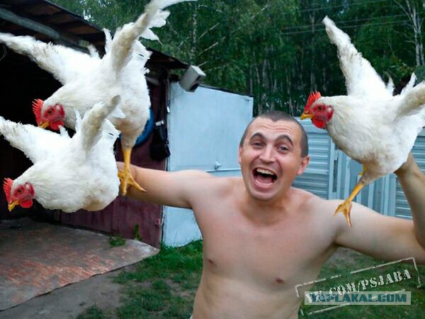 Отфотошопте моё фото