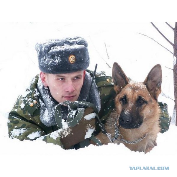 Кто не поймет, у того не было детства!
