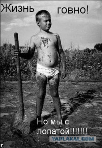 Смешные картинки