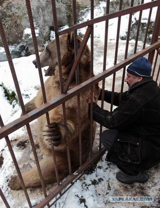 Картинки из сети на понедельник