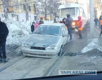 Животные ,которые застряли.