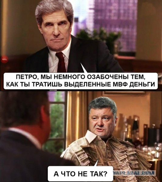 Прикольные фото и картинки