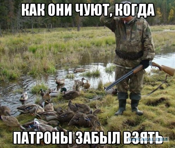 В дальнее замкадье и безасфальтье