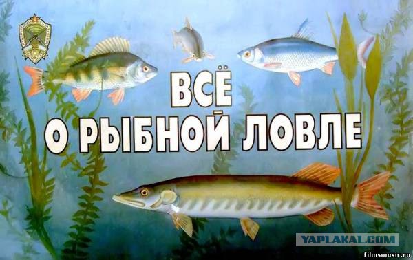 Удачная рыбалка