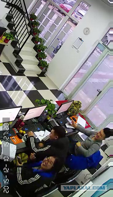 За что я люблю китайцев