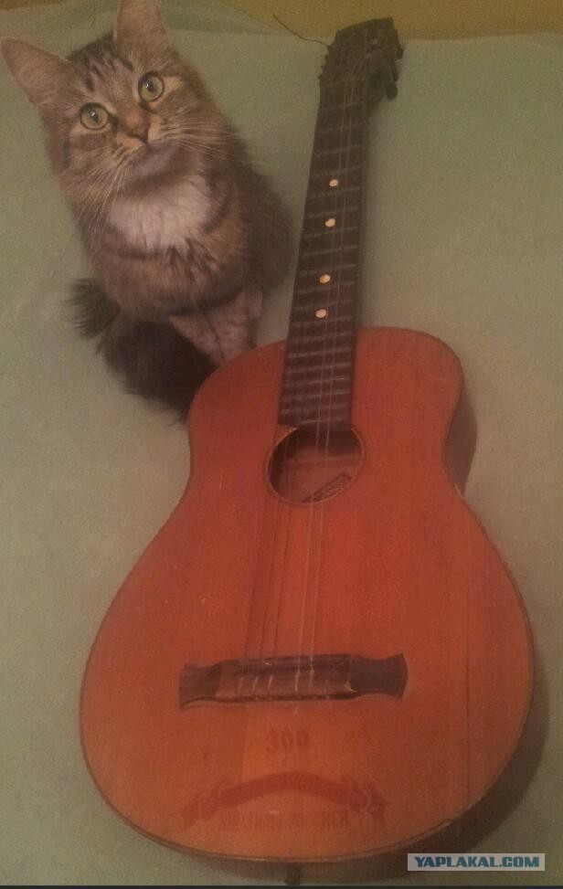 В Киеве прошел митинг за воссоединение с Россией