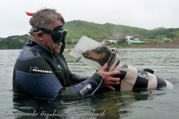 Вся правда о дайвинге!