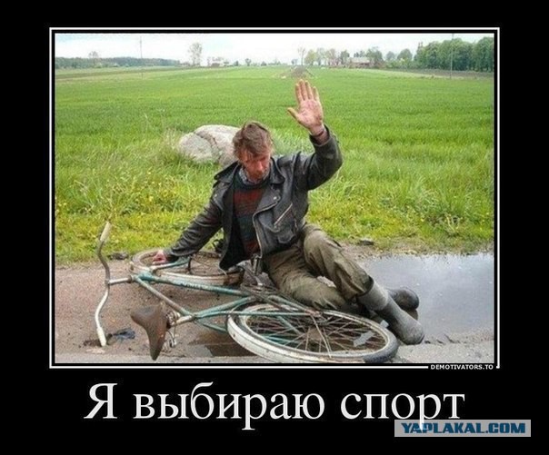 Веселые картинки