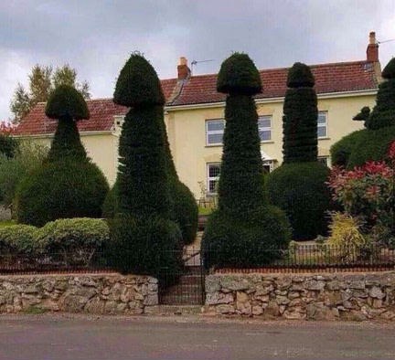 Ужасы и приколы из соцсетей 18+