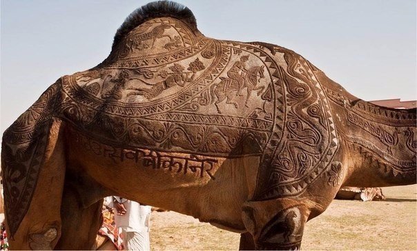 Подборка красивых картинок