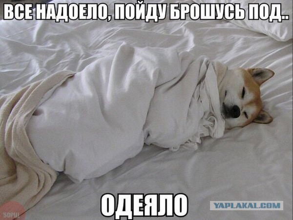 Смешные картинки с надписями 04.04.2016